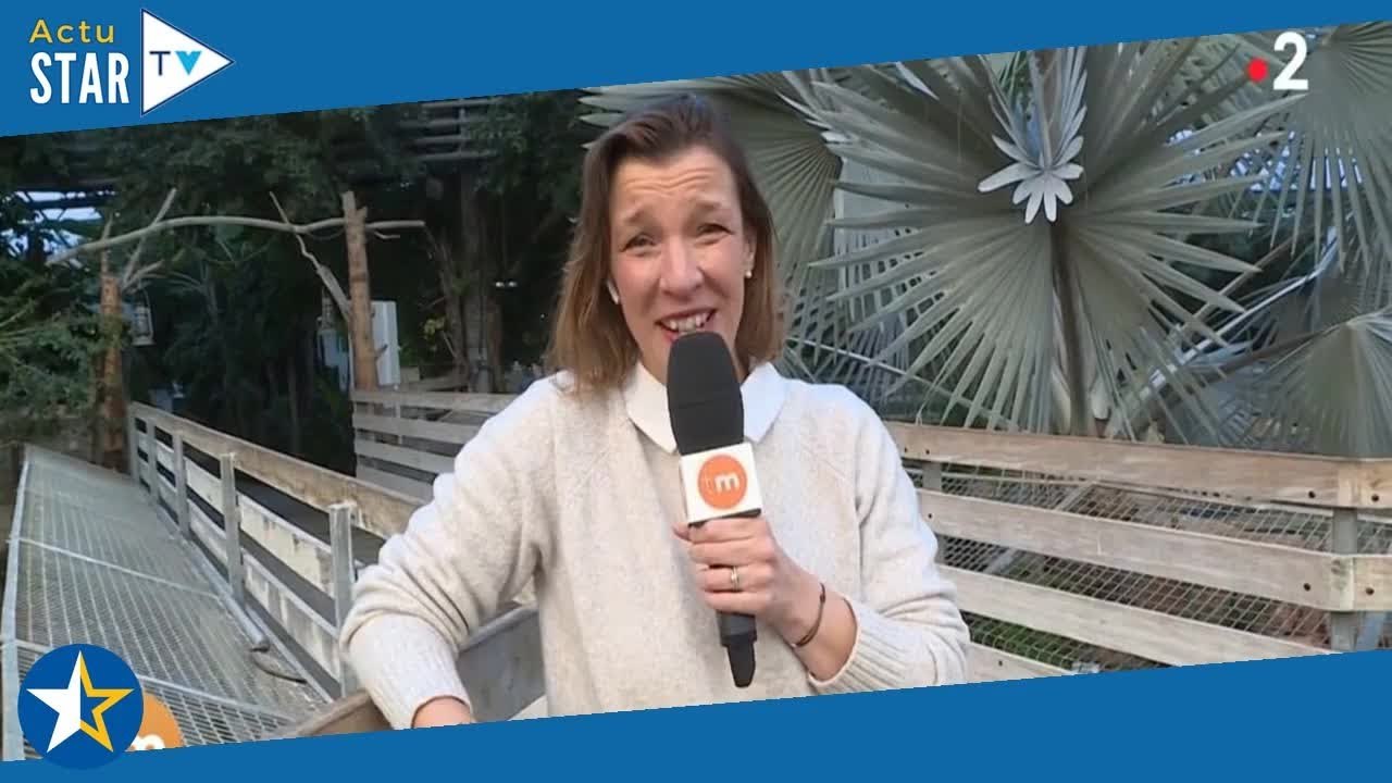 "J’y suis allée au culot" : Julie Poirier, la journaliste de Télématin se confie sur les débuts de s