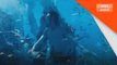 Box Office: Avatar | The Way Of Water ungguli carta