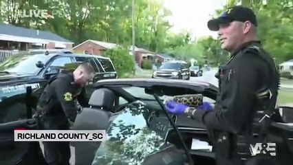 Live PD - Se4 - Ep54 - Ep04 10.20 HD Watch HD Deutsch