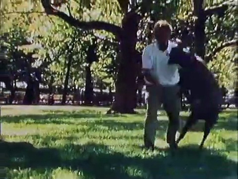 In Search of... - Se3 - Ep15 HD Watch HD Deutsch