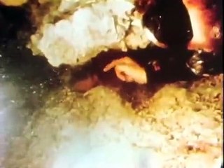 In Search of... - Se3 - Ep19 HD Watch HD Deutsch