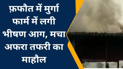 ब्रेकिंग खबर: बेगूसराय में मुर्गा फार्म में लगी भीषण आग, मची अफरातफरी