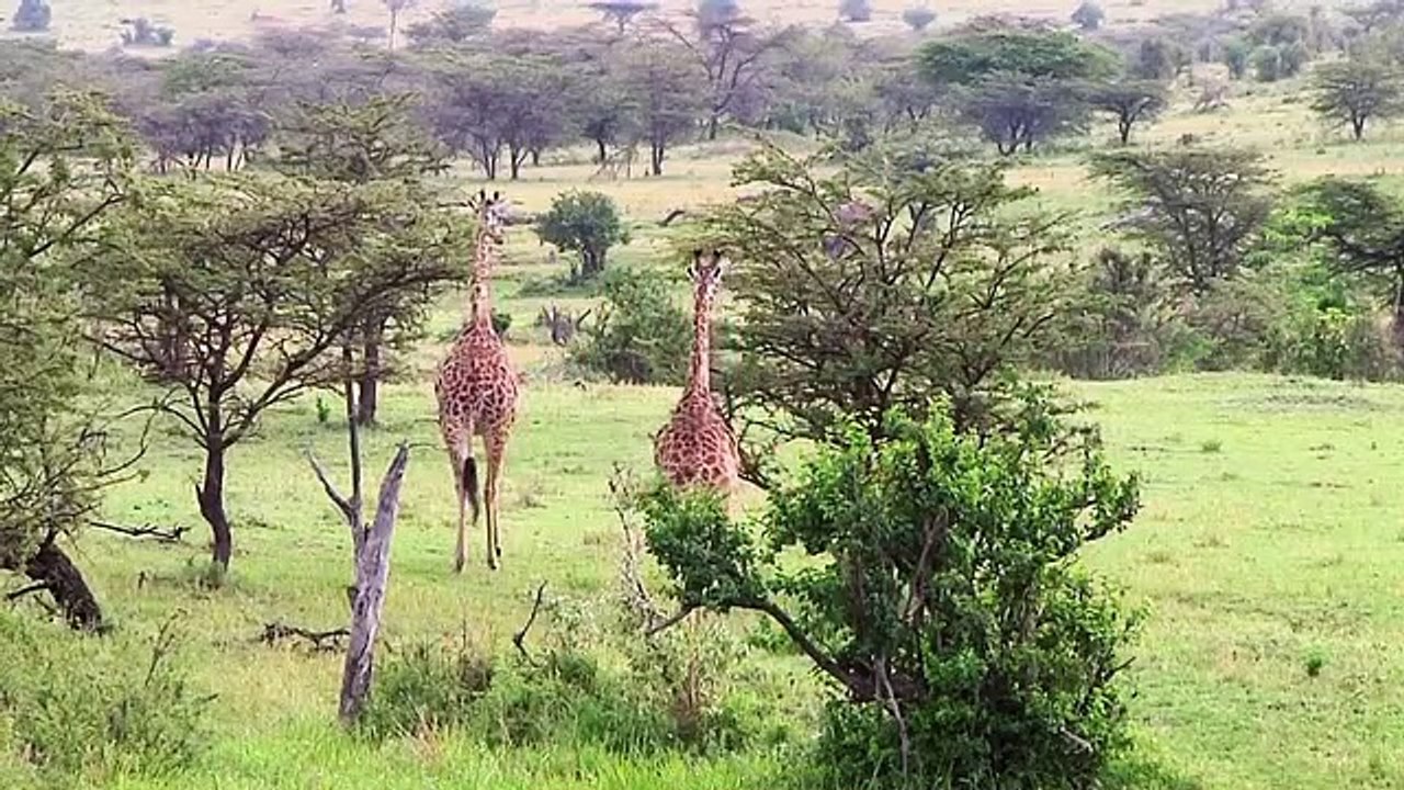 Super Senses - Se1 - Ep03 HD Watch HD Deutsch