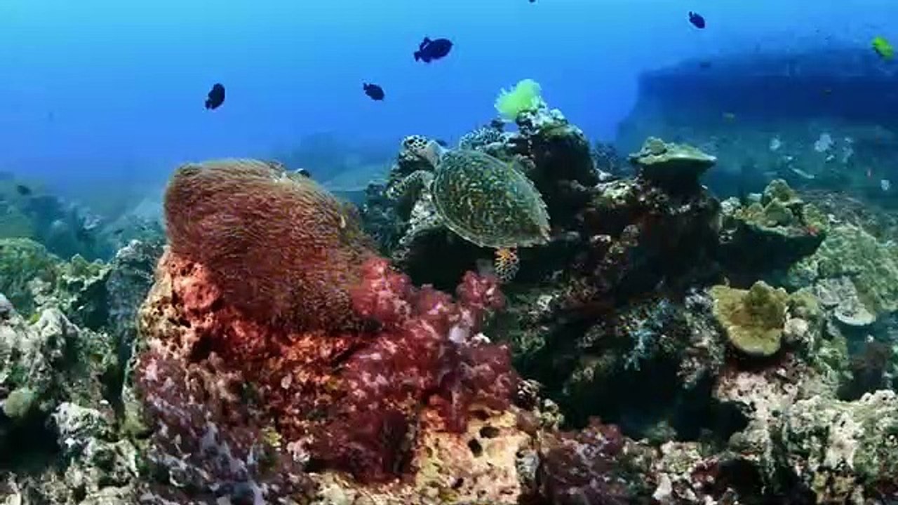 Super Senses - Se1 - Ep04 HD Watch HD Deutsch