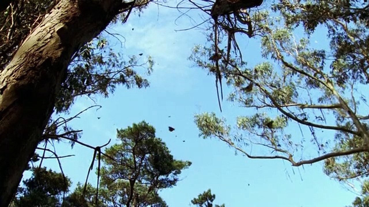 Super Senses - Se1 - Ep05 HD Watch HD Deutsch