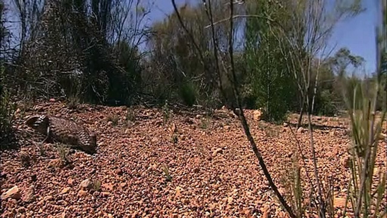 Super Senses - Se1 - Ep07 HD Watch HD Deutsch