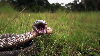 Super Senses - Se1 - Ep10 HD Watch HD Deutsch