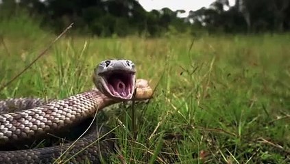 Super Senses - Se1 - Ep11 HD Watch HD Deutsch