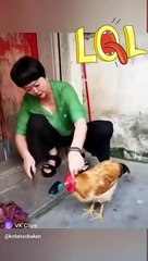 Yılan kurbağayı yakalayıp sonra