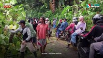 Pohon Petai Tumbang Sempat Lumpuhkan Jalan Raya Cisolok Sukabumi