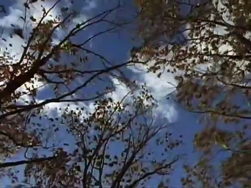 Are You Afraid of the Dark - Se6 - Ep02 -The Tale of the Forever Game HD Watch HD Deutsch