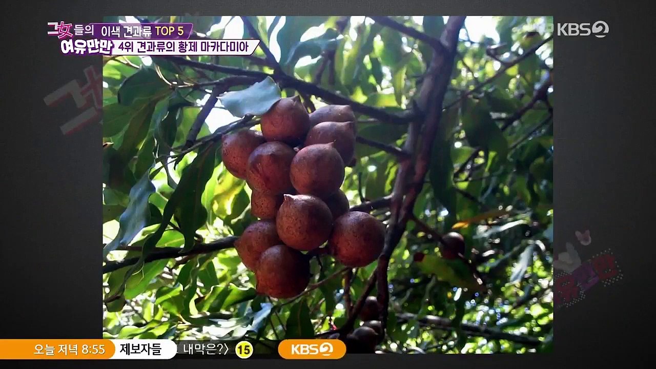 Women's Composure - Ep145 HD Watch HD Deutsch