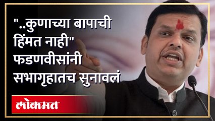सीमावादावर विधानसभेत नेमकं काय झालं? Devendra Fadnavis on Maharashtra-Karnataka border Dispute