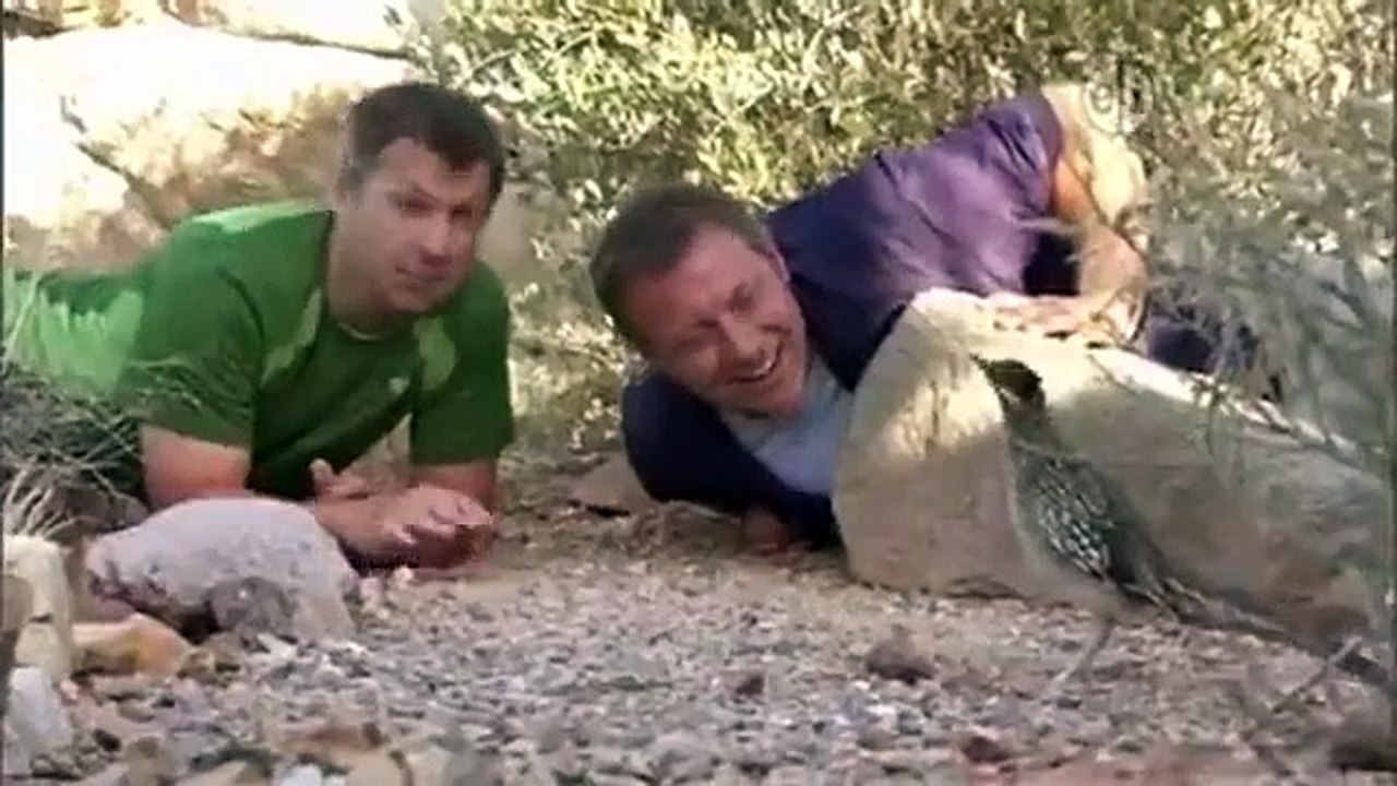 Wild Kratts - Se2 - Ep13 HD Watch HD Deutsch