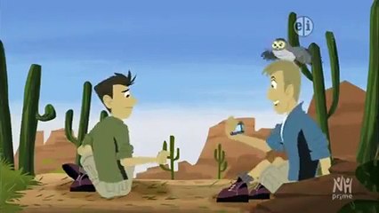 Wild Kratts - Se2 - Ep19 HD Watch HD Deutsch