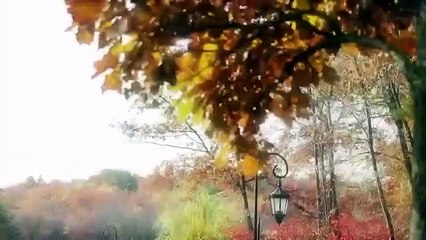 Vanity Fair Confidential - Se4 - Ep01 HD Watch HD Deutsch