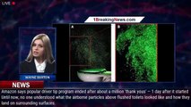 104275-mainVideo of 'toilet plume' shows how much droplets spread when you flush - 1BREAKINGNEWS.COM