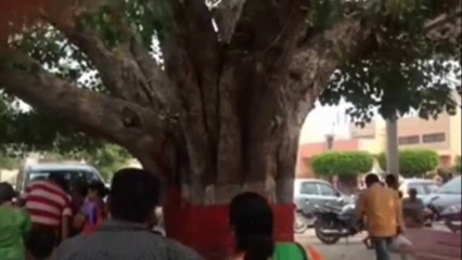 श्री कृष्ण के कहने पर बर्बरीक द्वारा छेदा गया पीपल का पेड़ आज भी हरियाणा में है |