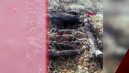 İçişleri: Şırnak'ta 'Eren Abluka Sonbahar-Kış-19 Operasyonu' başlatıldı