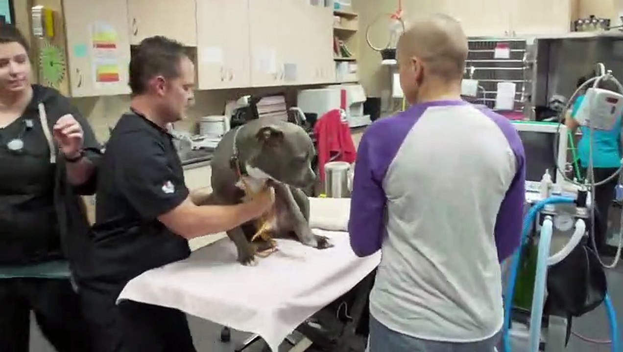 Amanda to the Rescue - Se2 - Ep08 HD Watch HD Deutsch