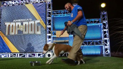 America's Top Dog - Se3 - Ep06 HD Watch HD Deutsch