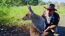 Coyote Peterson - Brave the Wild - Se1 - Ep14 HD Watch HD Deutsch