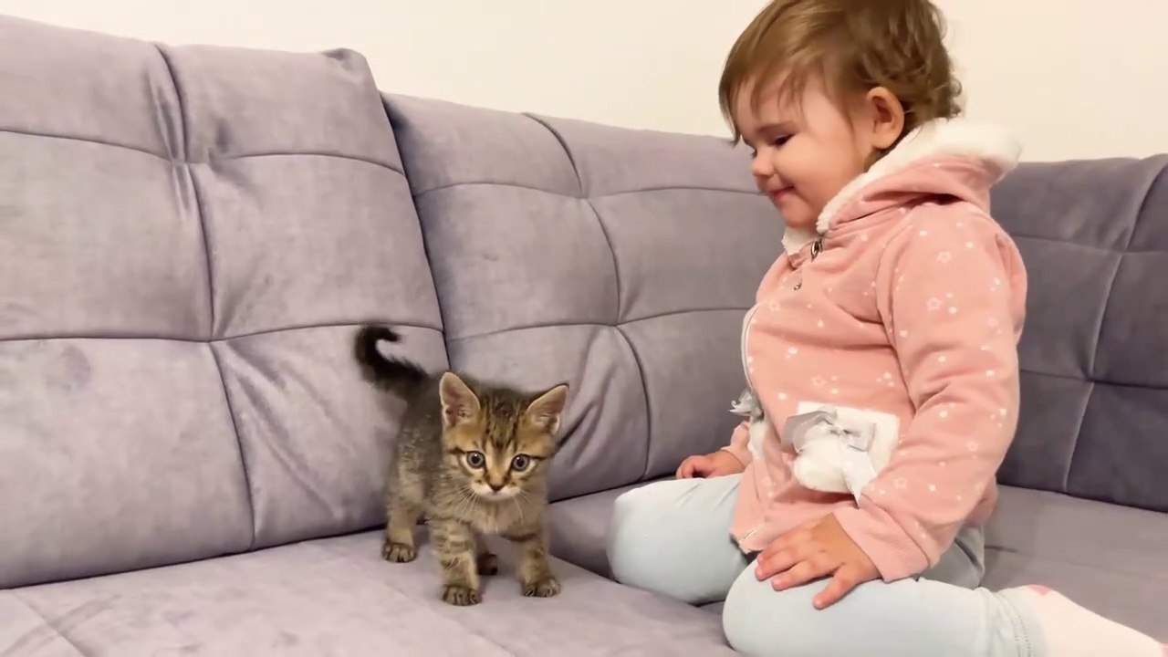 Cute Baby Meets New Baby Kitten for the First Time!