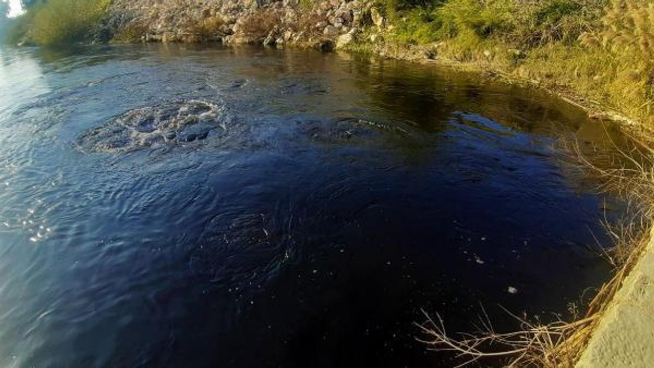 BÜYÜK MENDERES NEHRİ ÇÖPLÜĞE DÖNDÜ; SUYUN RENGİ SİYAHA BÜRÜNDÜ