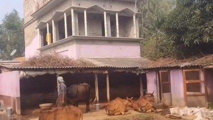 পূর্ব বর্ধমান: রাজ্যে প্রথম ব্রুসোলোসিস রোগে মৃত্যু ভাতারের বাসিন্দার