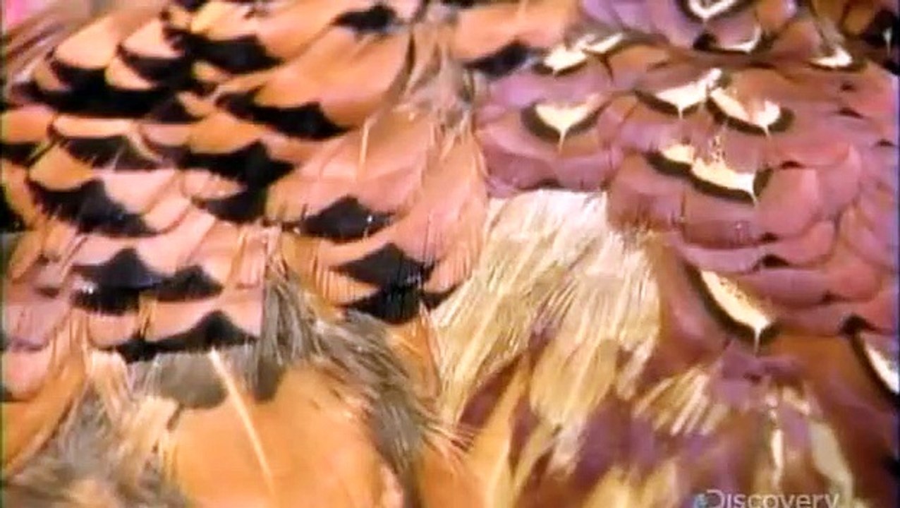 How It's Made - Se13 - Ep07 HD Watch HD Deutsch