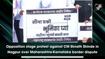 Opposition stage protest against CM Eknath Shinde in Nagpur over Maharashtra-Karnataka border dispute
