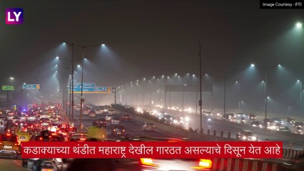 Weather Update:  राज्यात थंडीच्या कडाक्यात वाढ, तापमानात आणखी घट होण्याची शक्यता