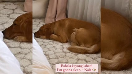 Omg! Ruffa Gutierrez namiss si Yilmaz Bektas ngayong pasko! At nagpost ng video nila! Latest Update