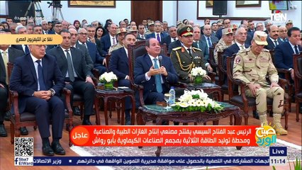 منها سلامة العقل والكشف الطبي.. السيسي يوضح أهم شروط عقد الزواج في القانون الجديد