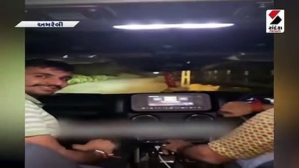 અમરેલીમાં સિંહની પજવણીનો વધુ વીડિયો વાયરલ