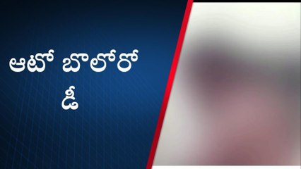 నెల్లూరు జిల్లా: తిరగబడిన ఆటో... అక్కడిక్కడే వ్యక్తి మృతి