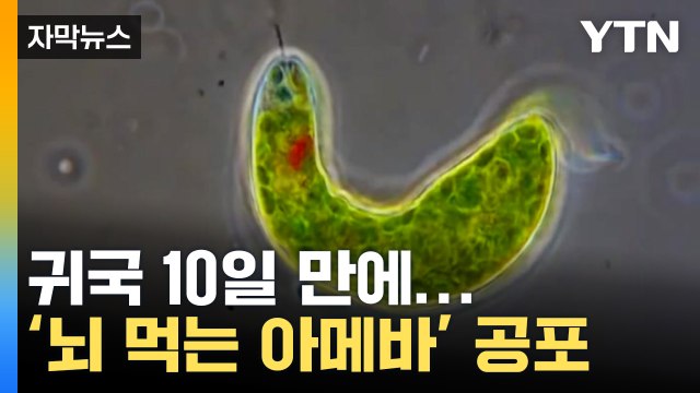 [자막뉴스] 태국서 귀국 10일 만에...'뇌 먹는 아메바' 공포 확산 / YTN
