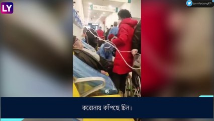 COVID 19 In China: চিনে প্লাস্টিকে মুড়ে বাজার দম্পতির