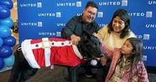 États-Unis : un pilote d'avion a adopté un chien qui avait été abandonné à l'aéroport