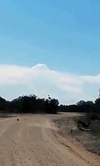 fastest attacking (eagle) #shorts