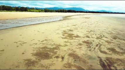 Wrong Kind of Black - Se1 - Ep02 - Lover Not A Fighter HD Watch