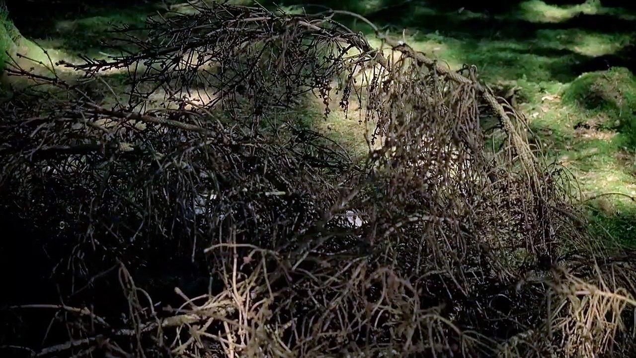 Atlantis - se1 - ep04 - twist of fate hd watch