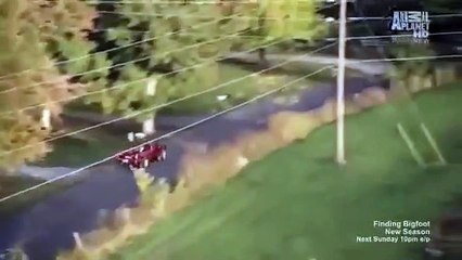 Call of the Wildman - Se1 - Ep11 HD Watch