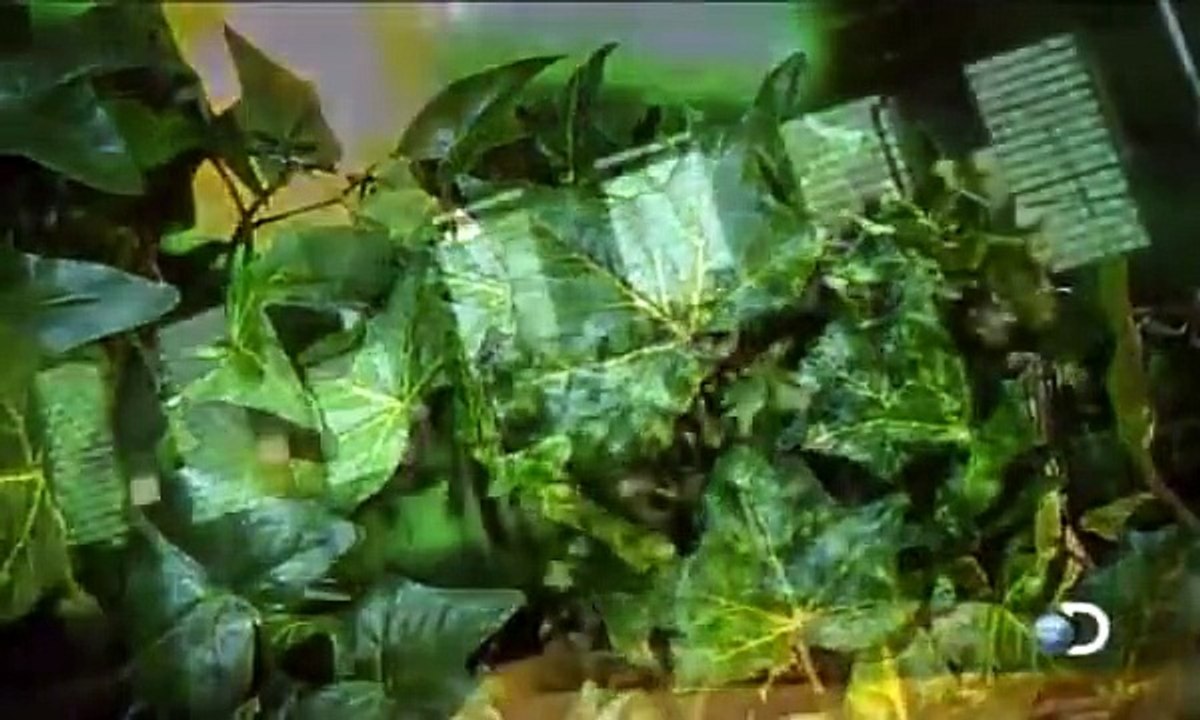 How It's Made - Se18 - Ep02 HD Watch