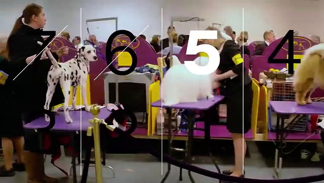 7 Days Out - Se1 - Ep05 HD Watch