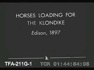 Horses Loading For The Klondike, 1897