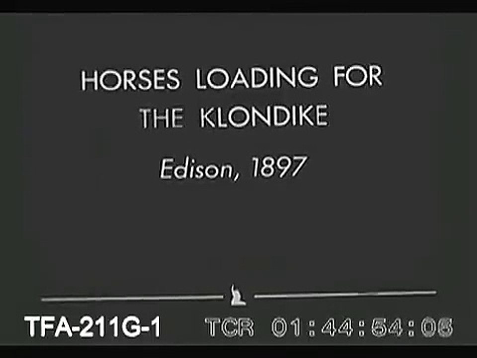 Horses Loading For The Klondike, 1897