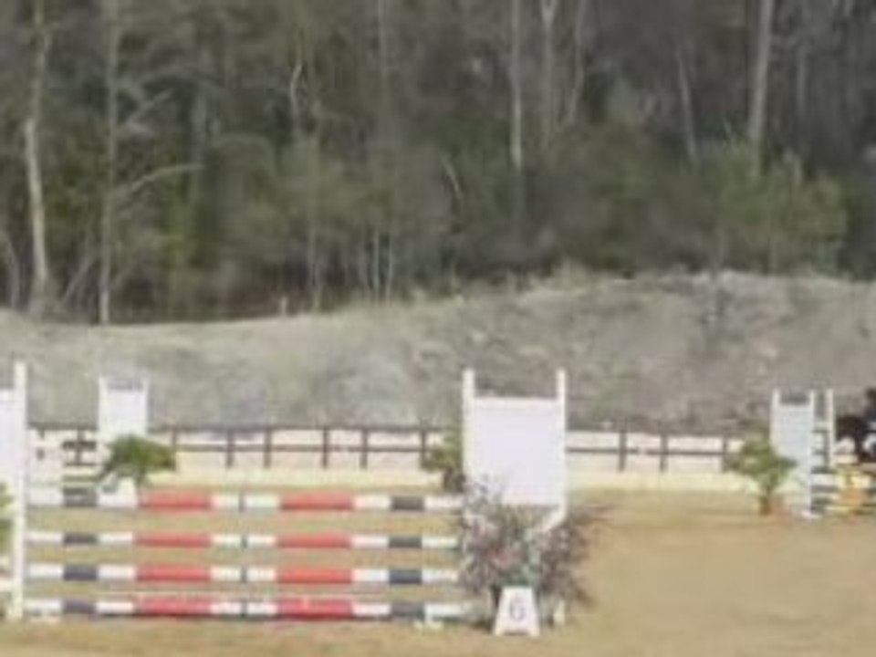 étalon pottok agreement mars 2008