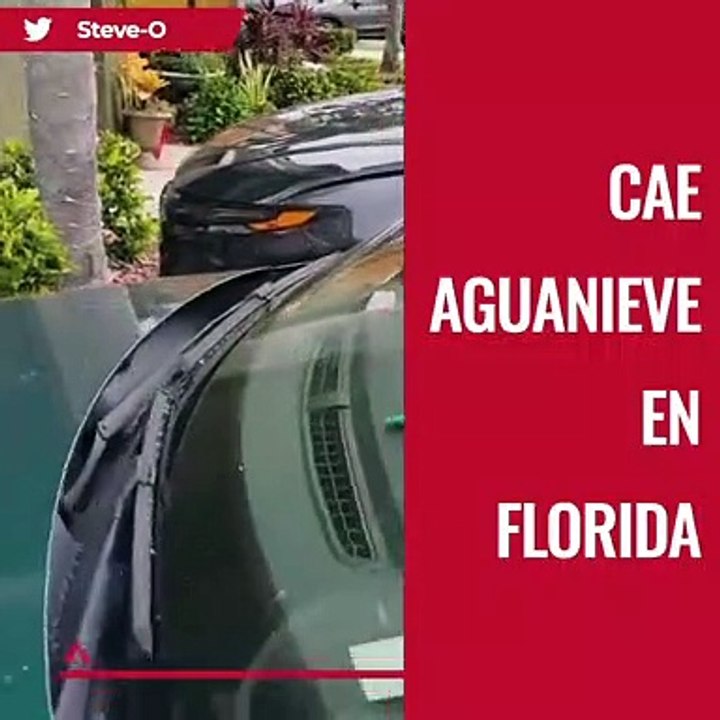 Cae aguanieve en Florida