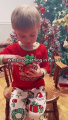 Vestido de 'Grinch', menino fica encantado ao receber cebola pelo Natal